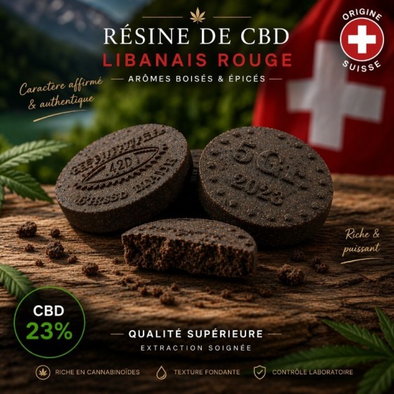 Hash Pièce de Libanais...