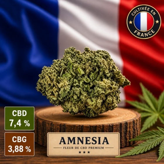 Fleur de CBD Amnesia -...
