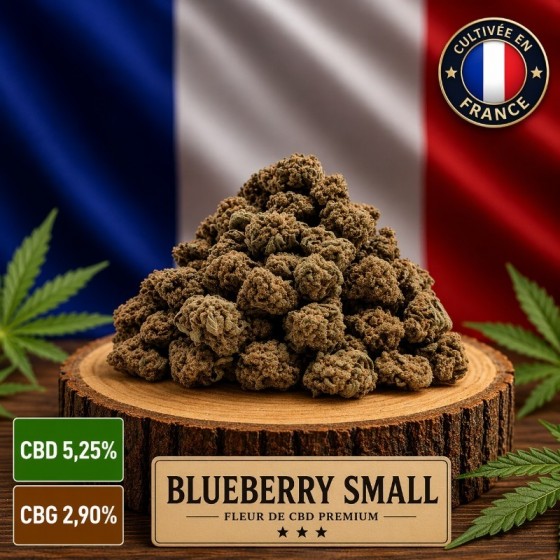 Fleur CBD du mois Blueberry...