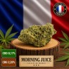 Fleur de CBD Morning Juice - Production Française Glasshouse 🌿