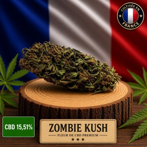 Fleur de CBD Zombie Kush -...