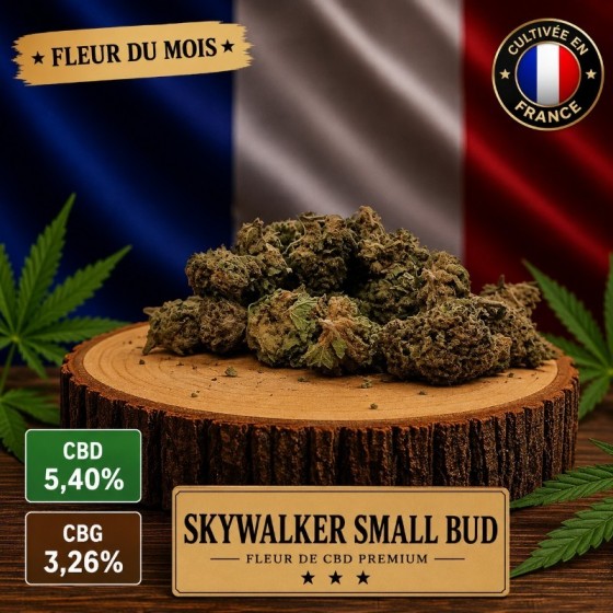 Fleur CBD du mois Skywalker...