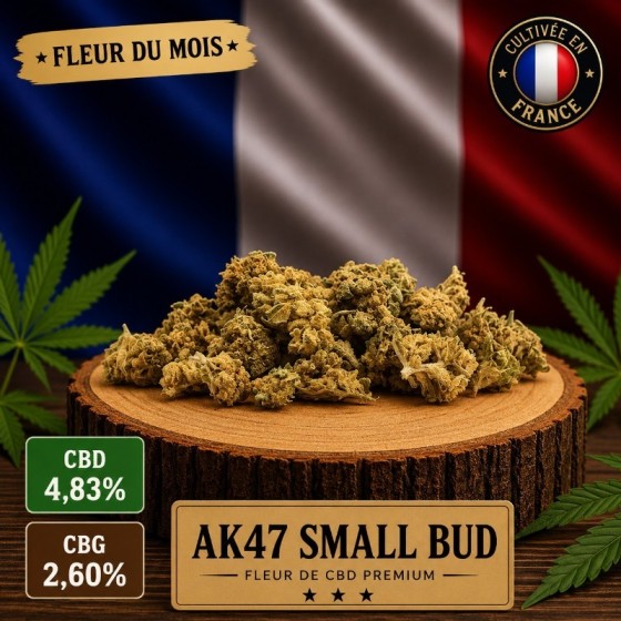 Fleur CBD du mois AK47 Small Buds 10g - Production Française Glasshouse 🌿
