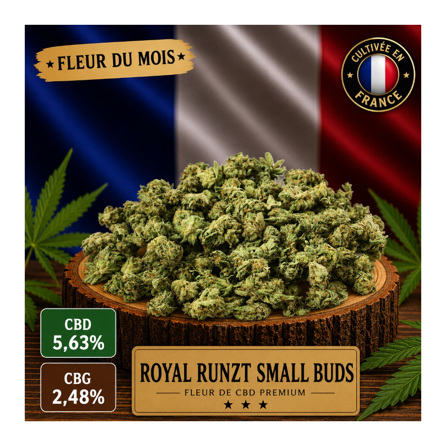 Fleur CBD du mois ROYAL RUNTZ Small Buds 10g - Production Française Glasshouse 🌿
