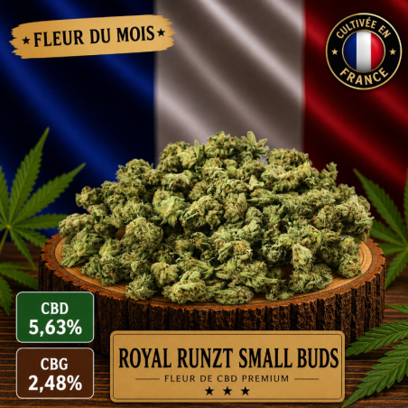 Fleur CBD du mois ROYAL RUNTZ Small Buds 10g - Production Française Glasshouse 🌿