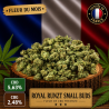 Fleur CBD du mois ROYAL RUNTZ Small Buds 10g - Production Française Glasshouse 🌿