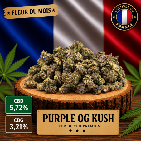 Fleur CBD du mois PURPLE OG KUSH Small Buds 10g - Production Française Glasshouse 🌿